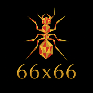 66x66