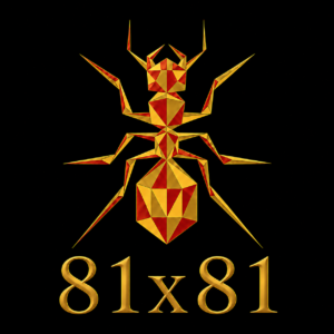 81x81