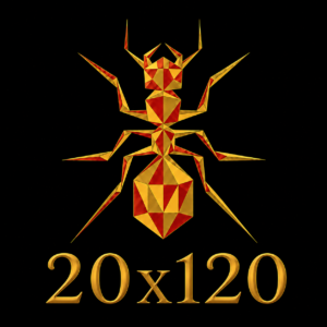 20x120